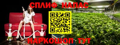 гидра Ливны